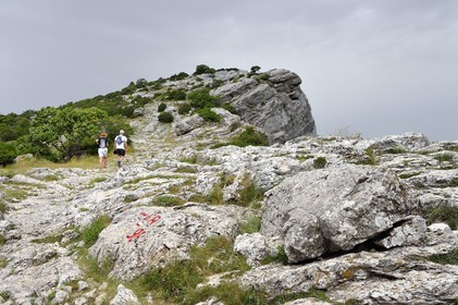France, Var, Plan d'Aups Sainte Baume, Sainte-Baume Regional Nature Park, Sainte-Baume Massif, hikers at the Col du Saint-Pilon on the GR 98, the Saint-Pilon in the background