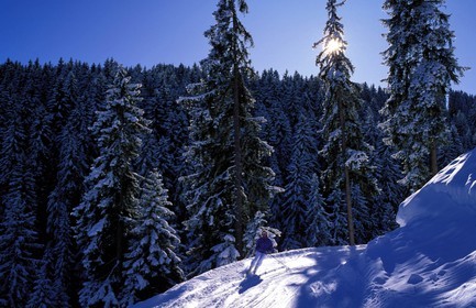 Suisse, région de Bern (Oberland Bernois), Saanenland, piste de ski sur les hauteurs de Gstaad