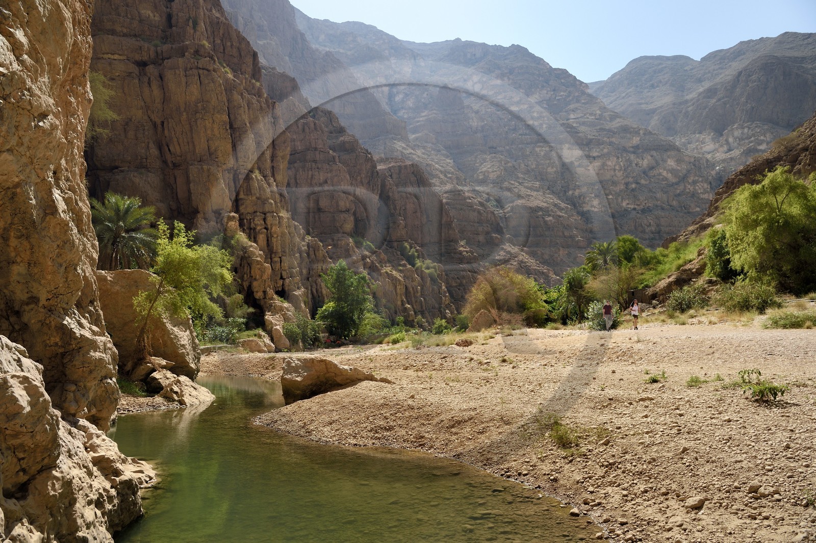 Sultanat d'Oman, région d'Ash Sharqiyah, Tiwi, randonneurs dans le Wadi ash Shab