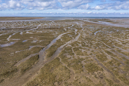 France, Vendée (85), île de Noirmoutier, Barbatre, l'estran en bordure du passage du Gois, chaussée submersible qui relie l'île au continent à marrée basse (vue aérienne)