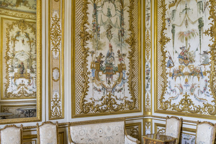 France, Oise, Chantilly, the castle of Chantilly, la Grande Singerie (the Great Monkey)