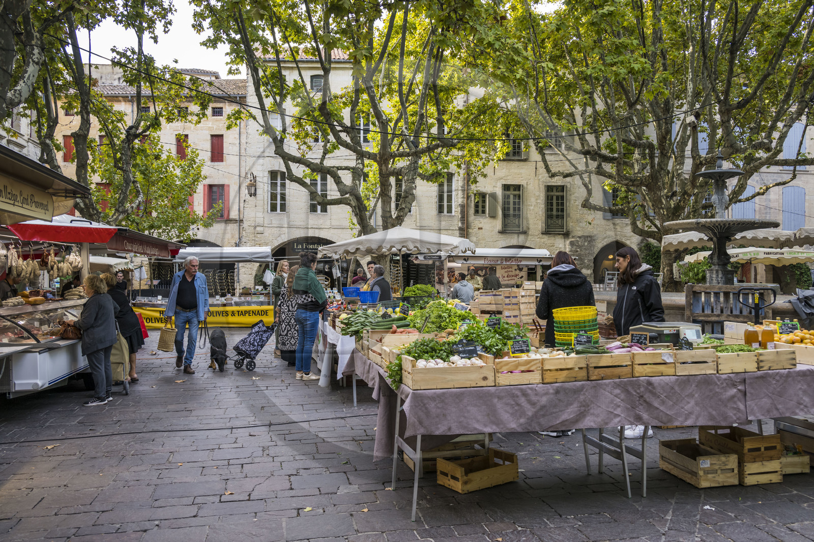 France, Gard (30), Uzès, le marché sur la Place aux Herbes