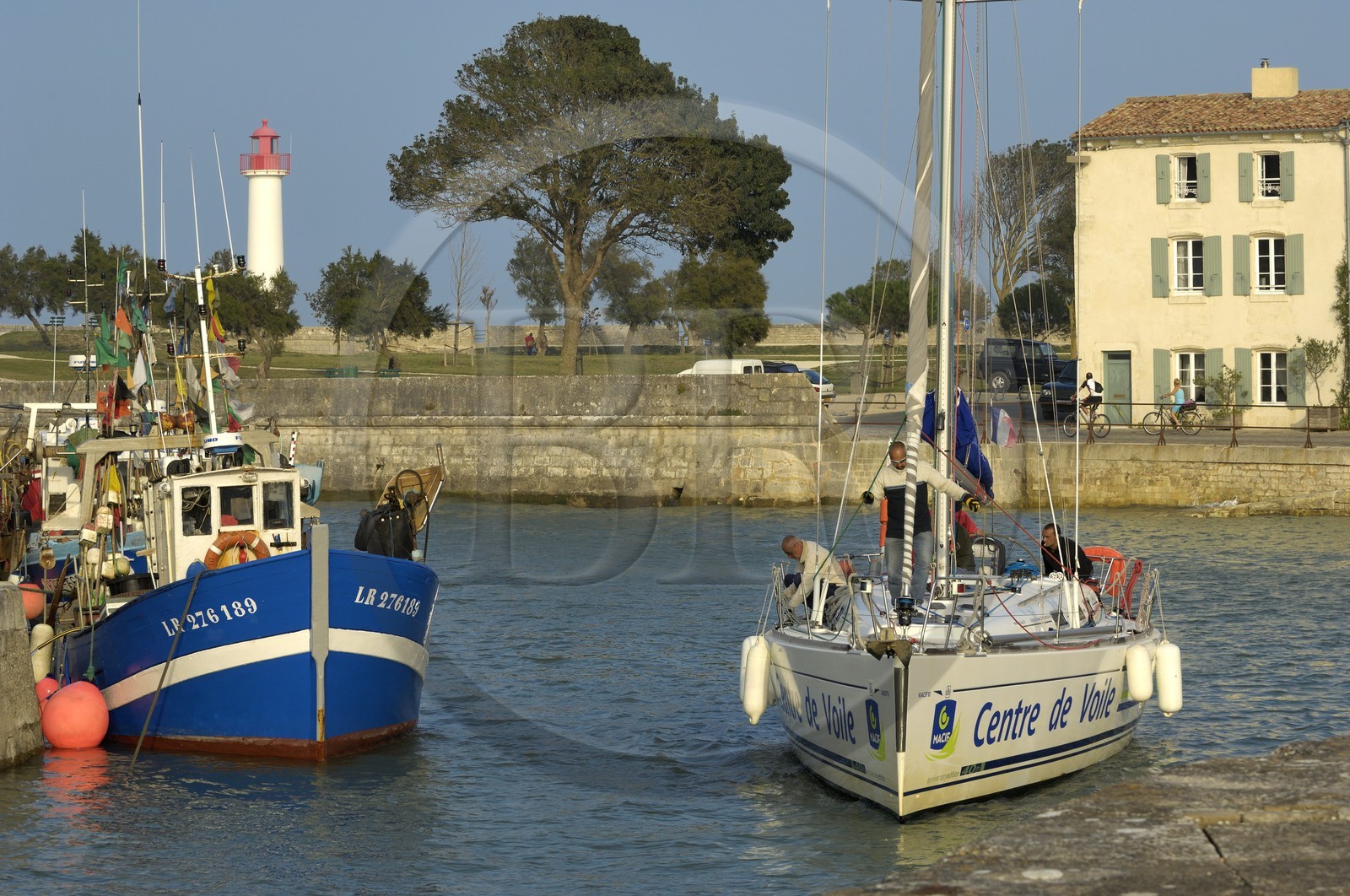 France, Charente-Maritime (17), ile de Ré, port de Saint-Martin-de-Ré