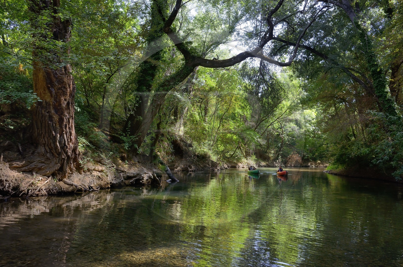 France, Var (83), Provence Verte, Vallée de l'Argens, canoë sur le fleuve Argens entre Carces et Le Thoronet