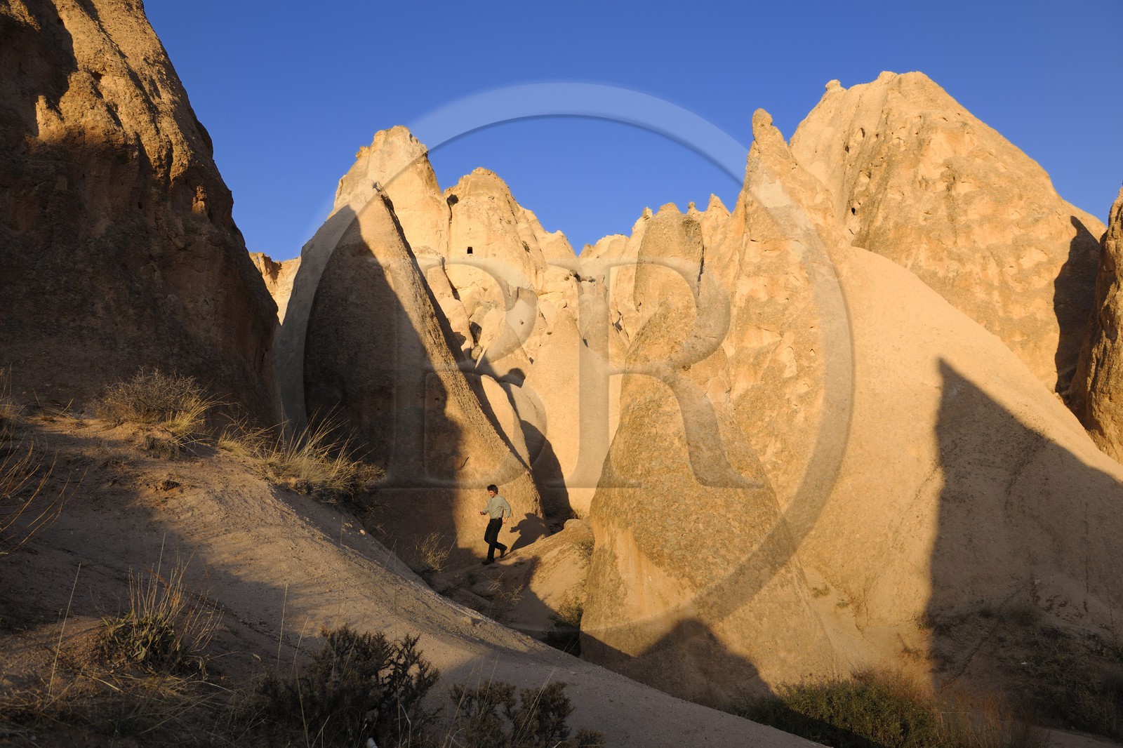 Turquie, Anatolie Centrale, province de Nevsehir, Cappadoce classée Patrimoine Mondial de l'UNESCO, paysage d'érosion et cheminées de fées entre Ürgüp et Avanos à Devrent Deresi