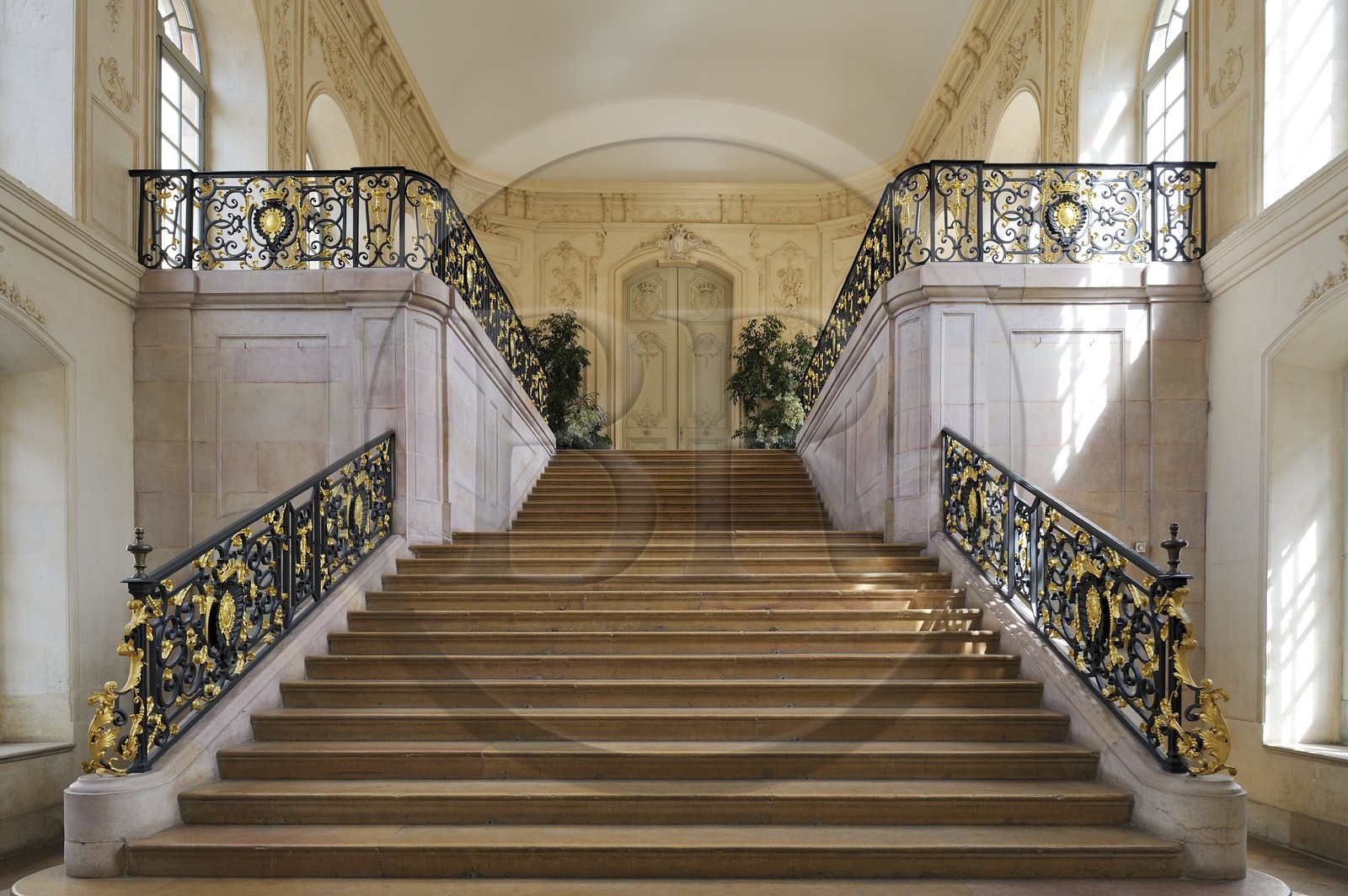 France, Côte d'Or (21), Dijon, Palais des Ducs, escalier menant à la salle des Etats de Bourgogne