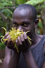 France, Ile de Mayotte, Grande-Terre, Ouangani, distillerie d'huile essentielle à base de pétales de fleurs d'ylang ylang (Cananga odorata) en alambic artisanal, Hassani Soulaimana co-dirigeant de Aromaoré