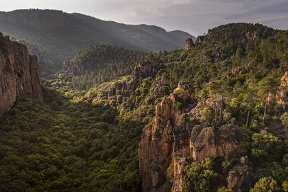 France, Var, between Bagnols en Foret and Roquebrune sur Argens, the Gorges du Blavet (aerial view)