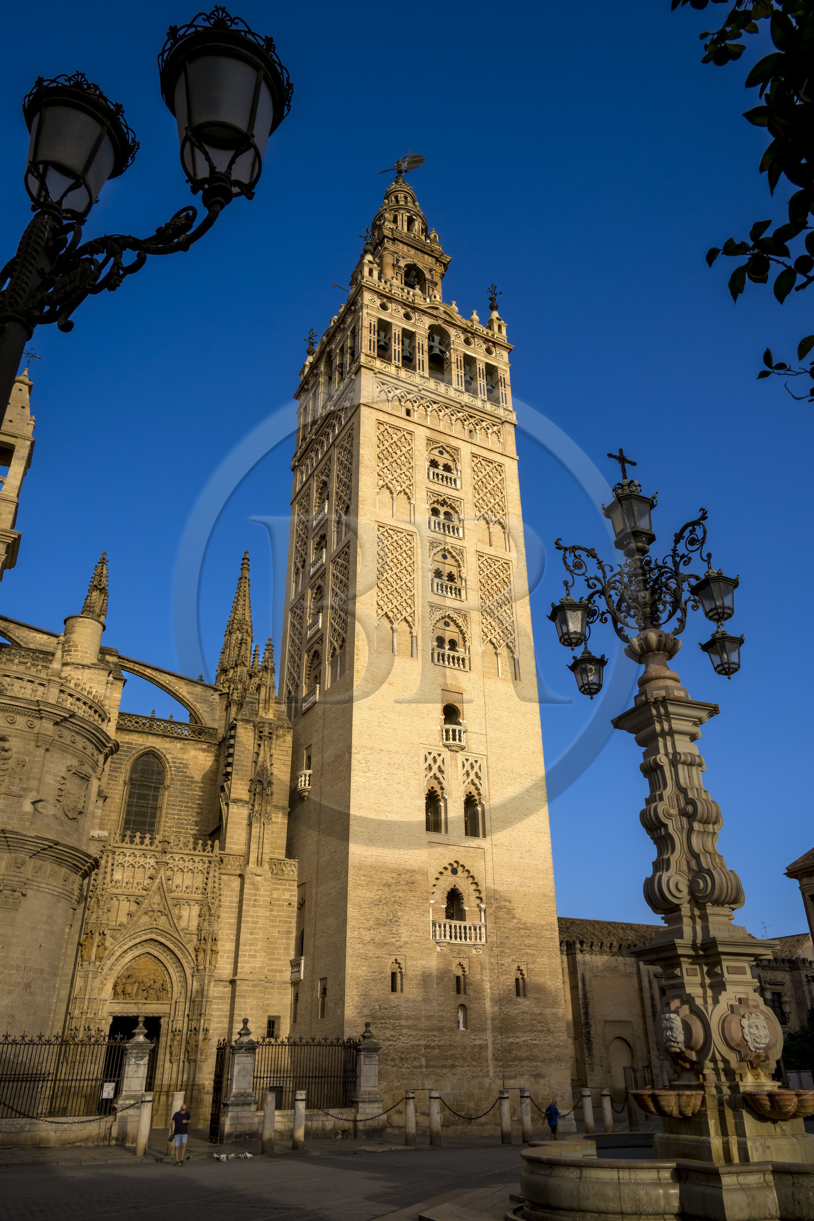 Espagne, Andalousie, Séville, quartier de Santa Cruz, la Giralda, ancien minaret almohade de la Grande Mosquée reconverti en clocher de la cathédrale, classé Patrimoine Mondial de l'UNESCO
