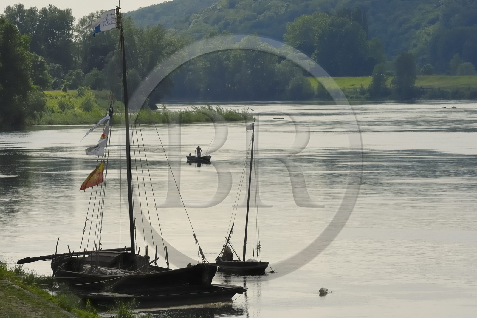 France, Indre et Loire, Loire Valley listed as World Heritage by UNESCO, edges of the Loire river in Brehemont
