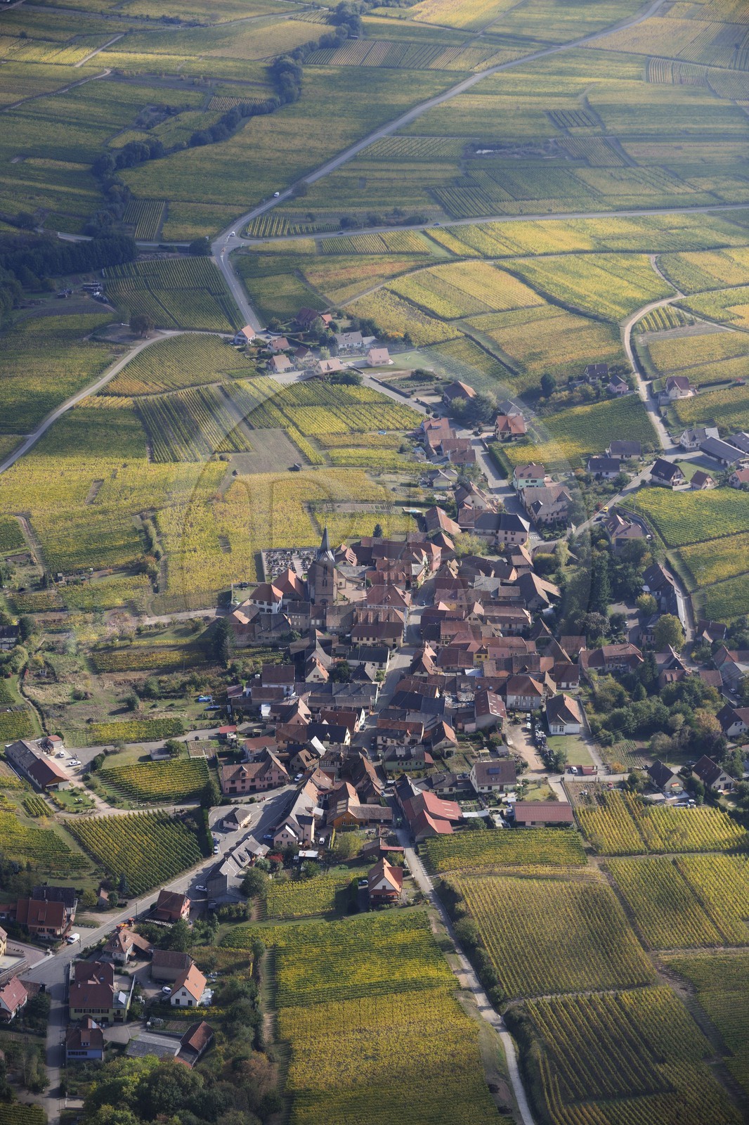France, Haut-Rhin (68), village entouré de vignes (photo aérienne)
