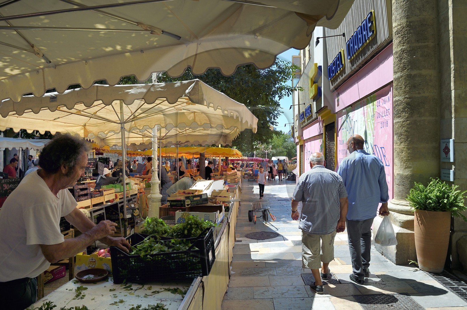 France, Var (83), Toulon, le marché du Cours Lafayette