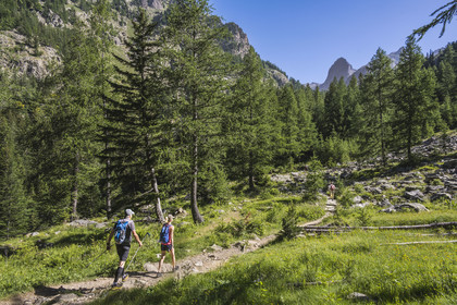France, Alpes-Maritimes, Parc National du Mercantour (Mercantour national park), Haute Vesubie, Saint Martin Vesubie, Val du Haut Boréon, hike on the GR 52 towards the refuge of Cougourde, the border summit of Cougourde (2892m) in the background
