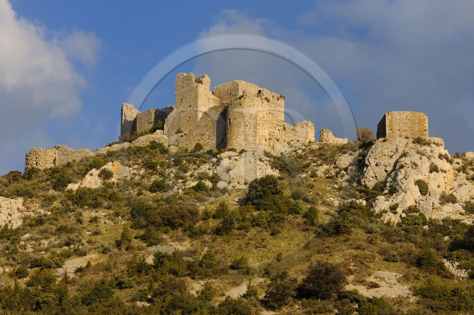 France, Aude, Cathar castle of Aguillar ruins in the heart of Corbieres ..