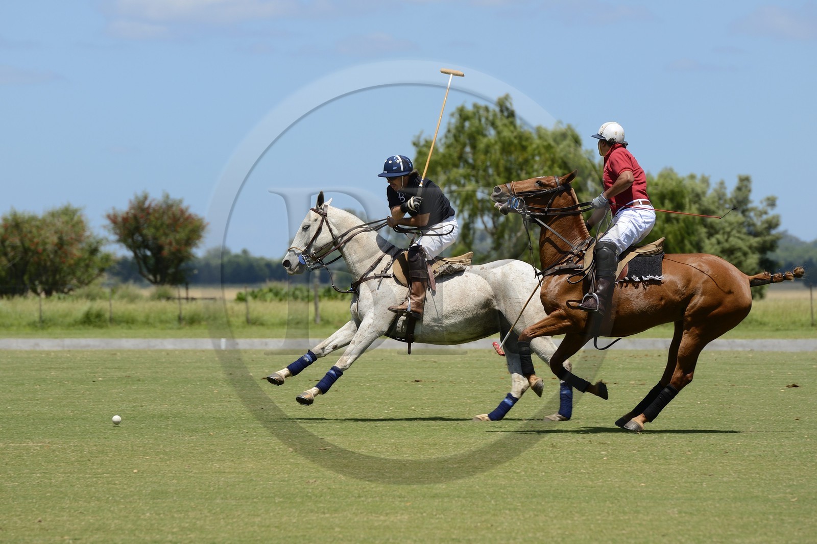 Argentine, province de Buenos Aires, San Antonio de Areco, estancia La Bamba de Areco, match de polo