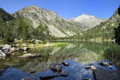 France, Hautes-Pyrénées (65), Saint-Lary-Soulan, Réserve naturelle nationale du Néouvielle, randonnée des lacs du Neouvielle, les Laquettes