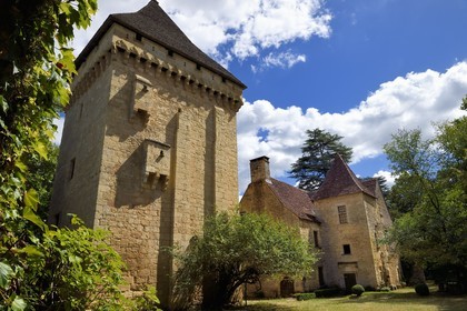 France, Dordogne (24), Périgord Noir, vallée de la Vézère, Saint-Léon-sur-Vézère, labellisé Les Plus Beaux Villages de France, le donjon du manoir de la Salle