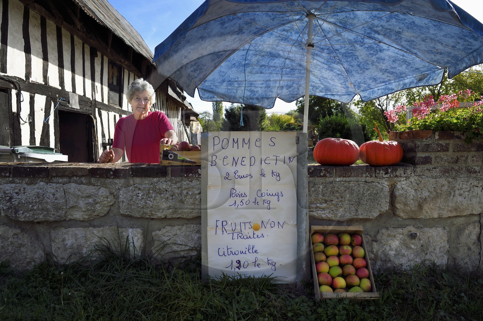 France, Seine-Maritime (76), Parc naturel régional des Boucles de la Seine normande, hameau de Beaulieu à Bardouville, vente de pommes en direct à la ferme de Simone Vauclin