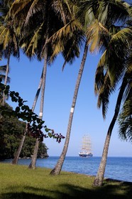 Caribbean sea, Saint Lucia island, the Royal Clipper ship anchored in Marigot Bay