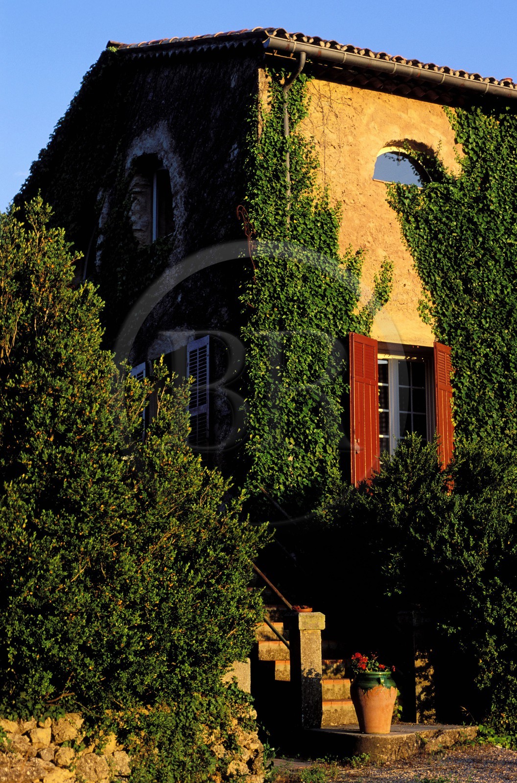 France, Var, Provence Verte (Green Provence), village of Bras next to Saint Maximin, bed and breakfast Le Peyrourier