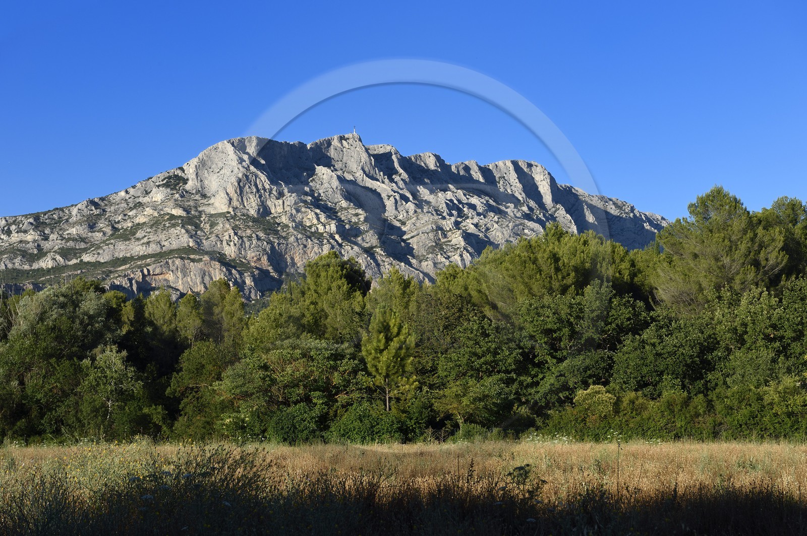 France, Bouches du Rhone, Aix en Provence region, towards the Tholonet, the Sainte Victoire mountain, Cezanne road