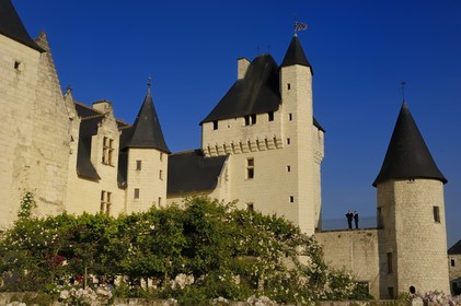 France, Indre et Loire (37), château du Rivau