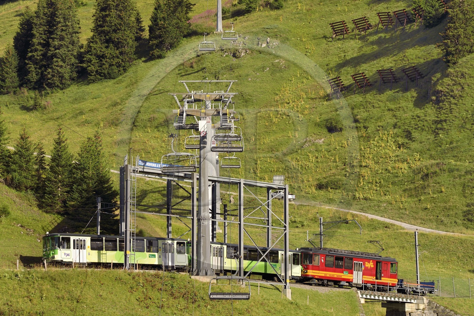 Switzerland, Canton of Vaud, Villars-sur-Ollon, train to the Bretaye pass station
