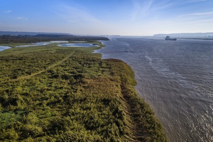 France, Seine-Maritime (76), Réserve Naturelle de l'estuaire de la Seine, cargo descendant la Seine depuis Rouen, la roselière en premier plan et le pont de Tancarville en arrière plan (vue aérienne)