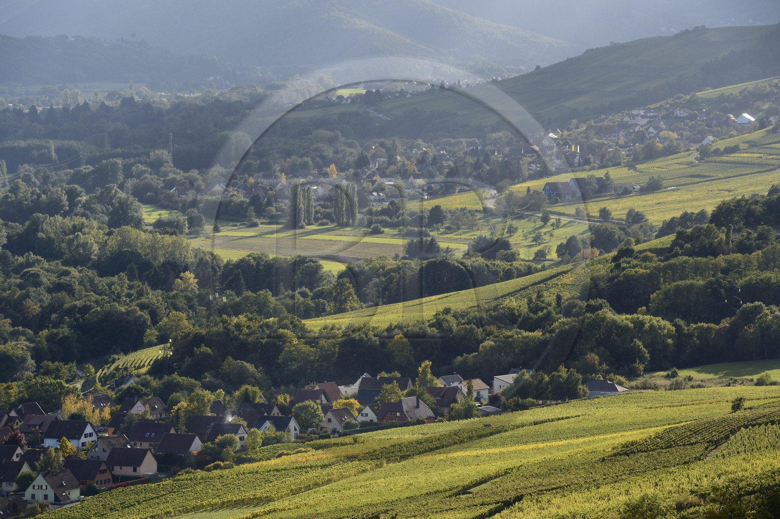 France, Haut-Rhin (68), Route des Vins d'Alsace, Zimmerbach, l'entrée de la vallée de Munster