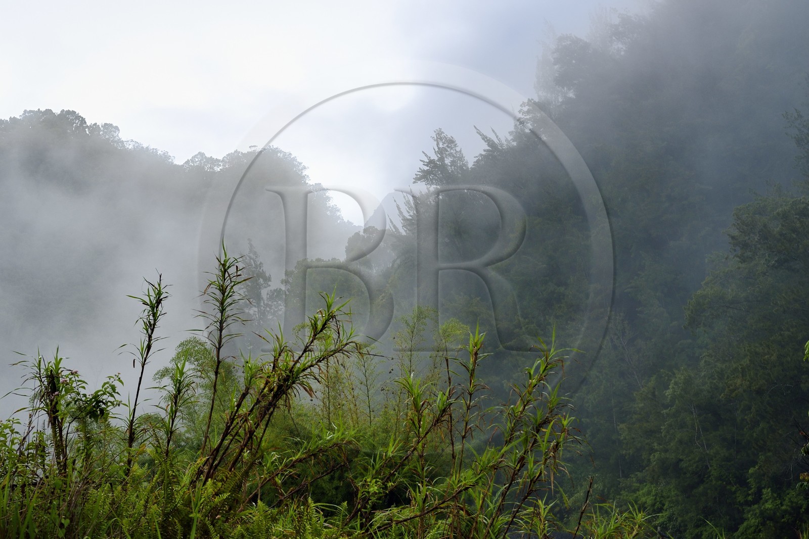 France, Ile de la Reunion, Cirque de Salazie, classé Patrimoine Mondial de l'UNESCO