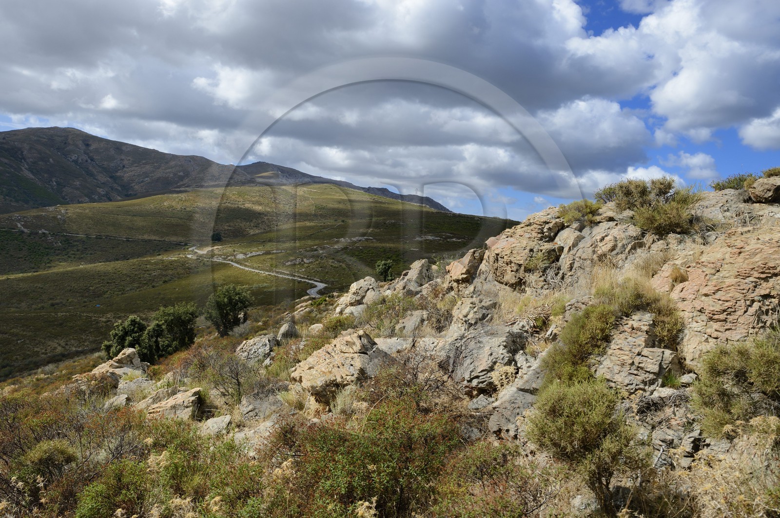 France, Haute-Corse (2B), Balagne, Le Giussani