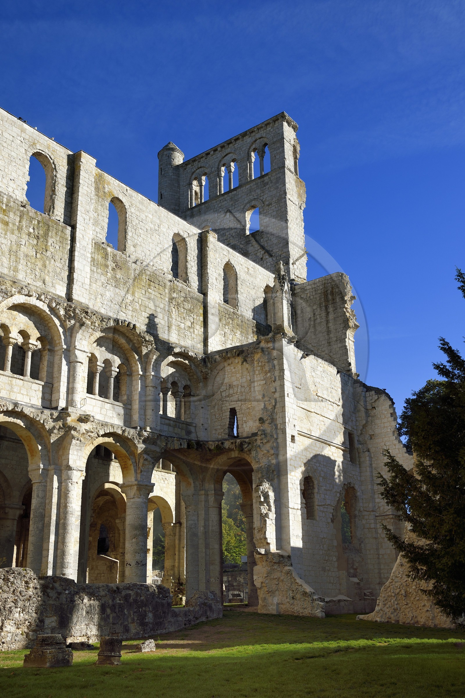 France, Seine-Maritime (76), Pays de Caux, Parc naturel régional des Boucles de la Seine normande, Jumièges, abbaye Saint-Pierre de Jumièges fondée au VIIe siècle