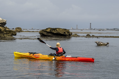 France, Finistère (29), Penmarch, archipel des Étocs, sortie en kayak du Centre nautique du Guilvinec à la découverte du phoque gris (halichoerus grypus) dans les rochers à marée basse, le phare d'Eckmuhl sur la Pointe de Penmarch en arrière plan