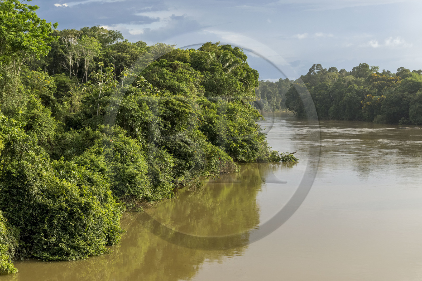 France, Guyane, Mana, le fleuve Mana