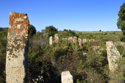 France, Corse-du-Sud (2A), Sartène, alignements de menhirs de Palaggiu (Pagliaju), dressés entre 1900 et 1000 avant Jésus-Christ, avec ses 258 menhirs, c'est le plus important de Méditerranée