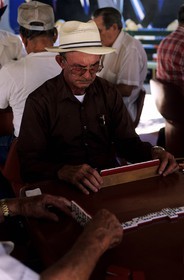 Etats-Unis, Floride, Miami, Little Havana, Calle Ocho, joueurs passionnés à Domino Park