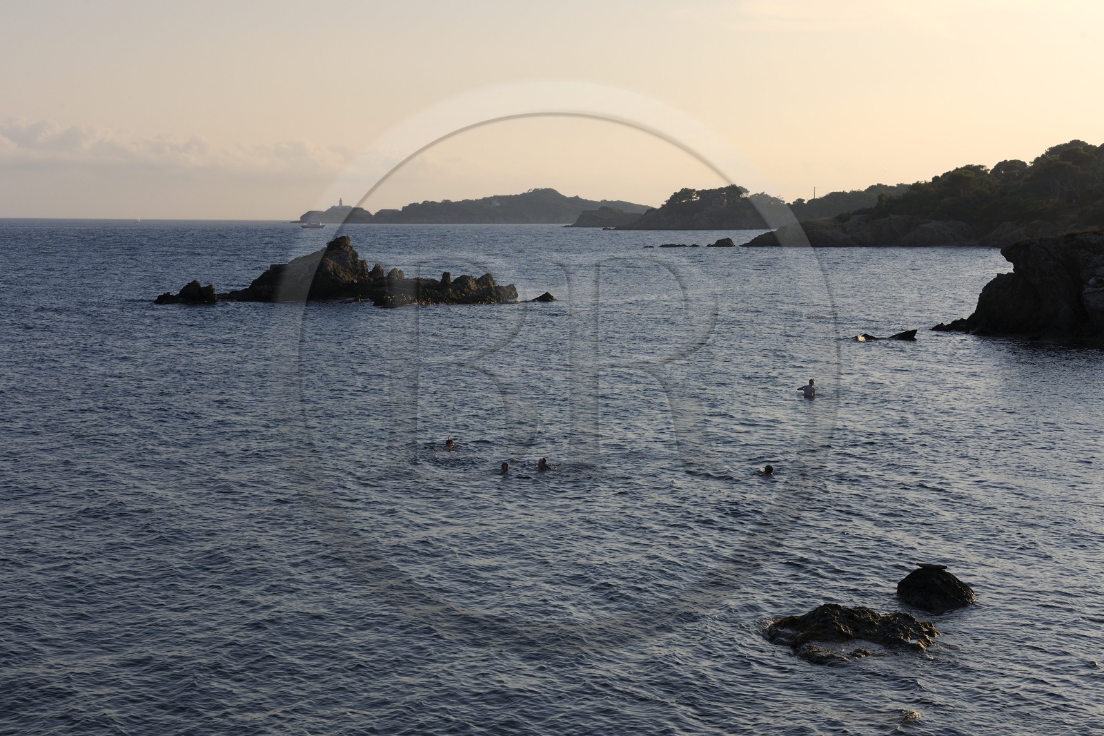 France, Var, Presqu'ile de Giens, the coast around the Tour Fondue, snorkeling