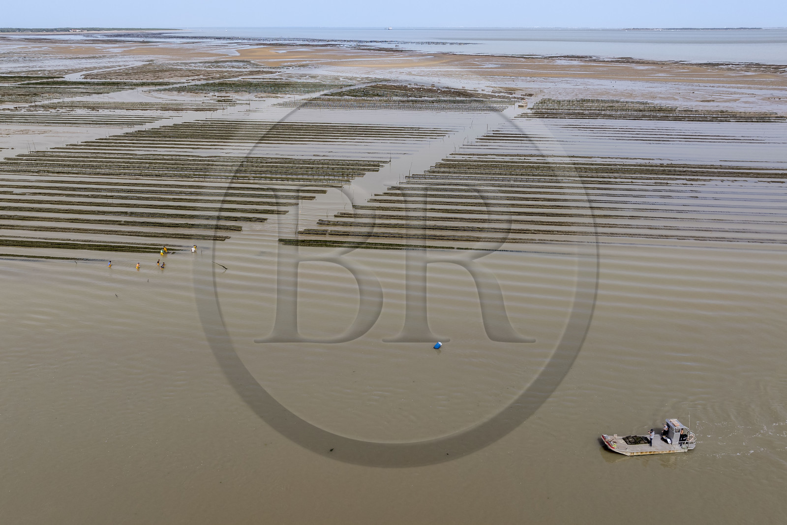 France, Charente Maritime, Oleron island, Dolus d’Oléron, maintenance of the oyster beds in the Marennes-Oléron basin in the Pertuis d'Antioche at low tide (aerial view)