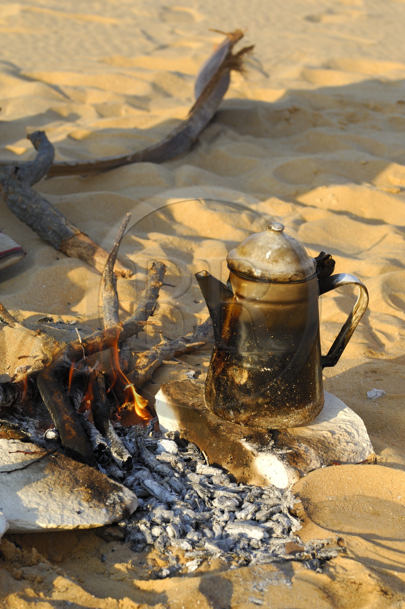 Egypte, désert libyque, bivouac dans le Désert Blanc au nord de Farafra, préparation du thé