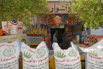 Egypte, désert libyque, ville de Paris (Baris) au sud de Kharga, épicerie