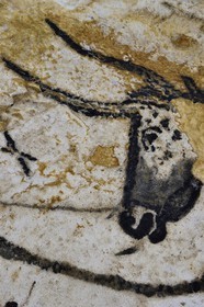 France, Dordogne (24), Montignac, l’Atelier des Fac-Similés du Périgord (AFSP) spécialisé dans la reproduction minérale de parois ornées de la préhistoire et en charge de la reconstitution fidèle des parois de la grotte de Lascaux, Aurochs, mention obligatoire Atelier des Fac-Similés du Périgord