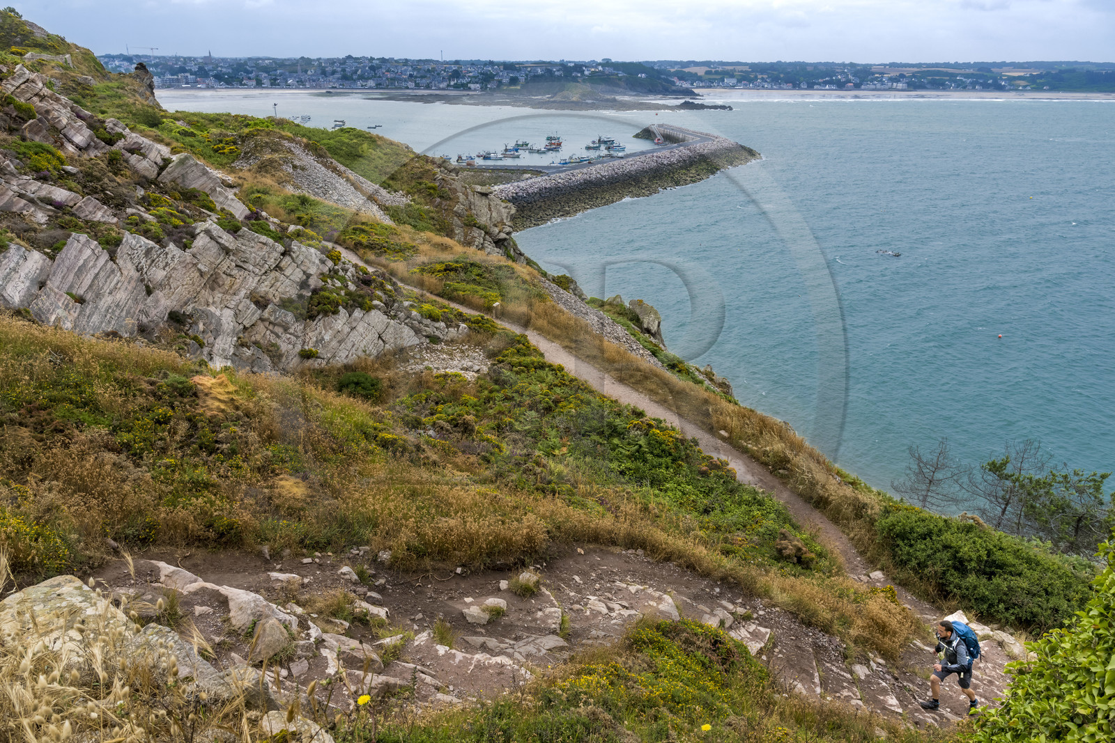 France, Côtes d'Armor (22), Côte de Penthièvre, Erquy, le port en arrière plan