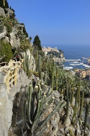 Principauté de Monaco, Monaco, le Jardin Exotique regroupant plusieurs milliers d'espèces de plantes succulentes, le Rocher et le port de Fontvieille en arrière plan