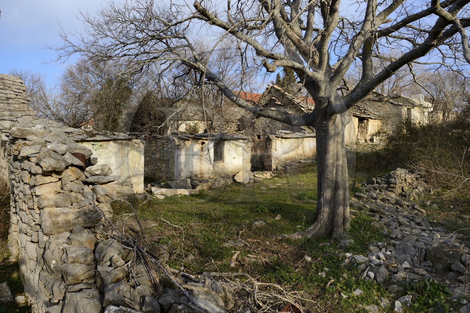 Croatie, Dalmatie, village de Gorace victime de la guerre