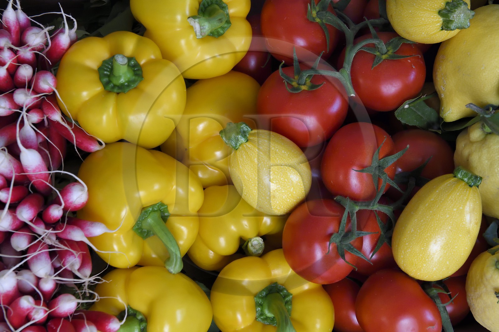 France, Alpes-Maritimes (06), Antibes, panier de légumes