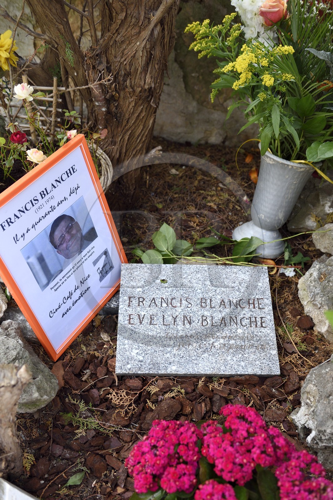 France, Alpes-Maritimes (06), Eze,