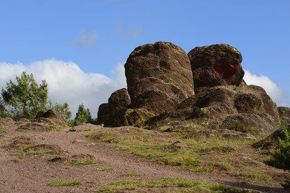 France, Morbihan (56), forêt de Brocéliande, Tréhorenteuc, la lande du Val sans retour