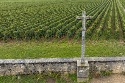 France, Côte-d'Or (21), Paysage culturel des climats de Bourgogne classés Patrimoine Mondial de l'UNESCO, Route des Grands Crus, vignoble de la Côte de Nuits, Vosne-Romanée, le vignoble du Domaine de la Romanée-Conti