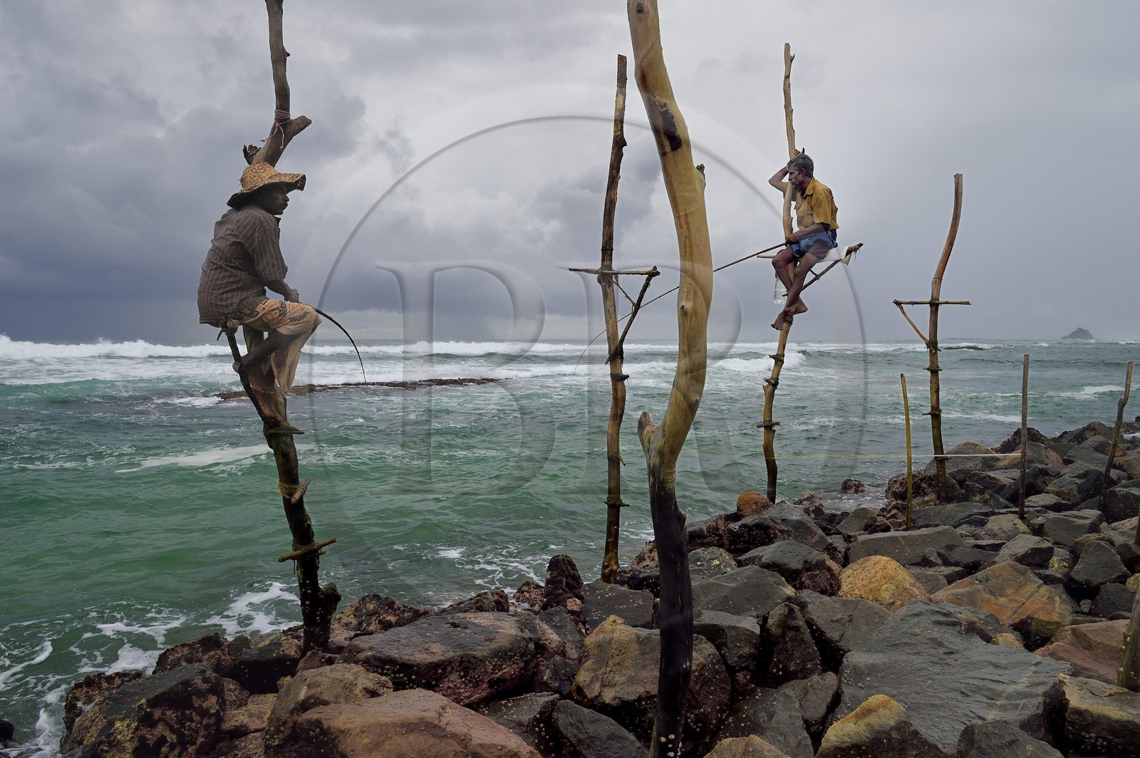Sri Lanka, Province du Sud, région de Galle, Weligama, plage de Midigama, pecheurs sur poteaux