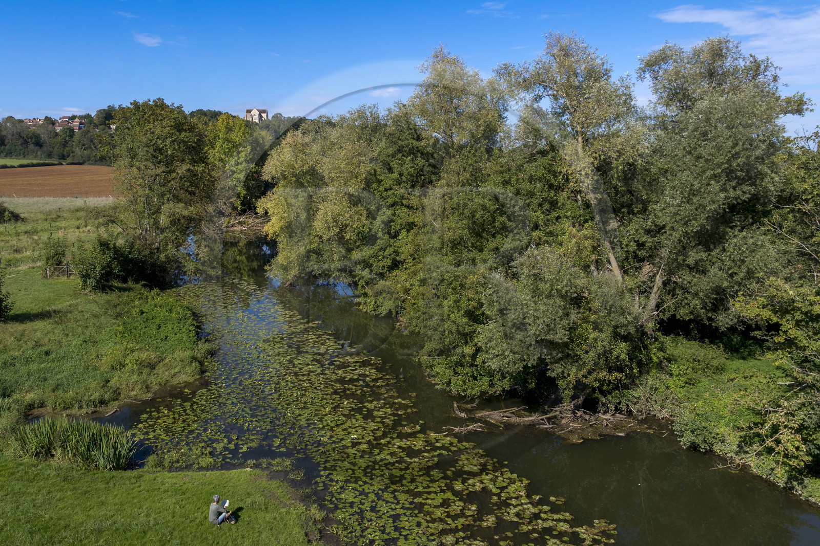 France, Yonne (89), Montréal (Bourgogne), les boucles de la rivière Serein au milieu des pré et la collégiale Notre-Dame en arrière plan (vue aérienne)